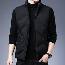 冬季羽绒马甲男外套2025年新款高端立领保暖羽绒服潮服马夹，男装羽绒服，钱塘6003（原4033）