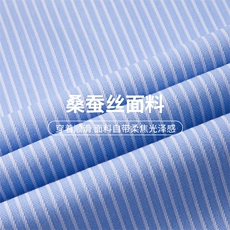 春秋新款长袖男士条纹衬衫高档休闲百搭轻商务中青年休闲衬衣，男装衬衫，电商B212（原钱塘6029）