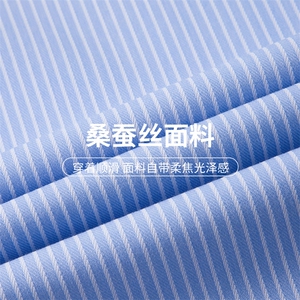 春秋新款长袖男士条纹衬衫高档休闲百搭轻商务中青年休闲衬衣图片