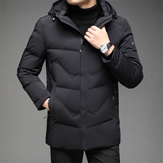 冬季90白鸭绒纯色潮流连帽羽绒服中年男士百搭外套DS-YR2803-P265，男装羽绒服，电商B212（原钱塘6029）
