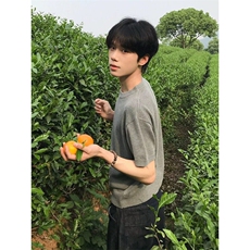 灰色冰丝针织短袖男夏季美式痞帅速干透气T恤正肩显瘦圆领五分袖，男装T恤，星座1212