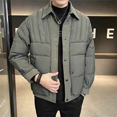 标90绒2025冬季店主风翻领简约保暖羽绒服外套男8082-P260，男装羽绒服，电商A413
