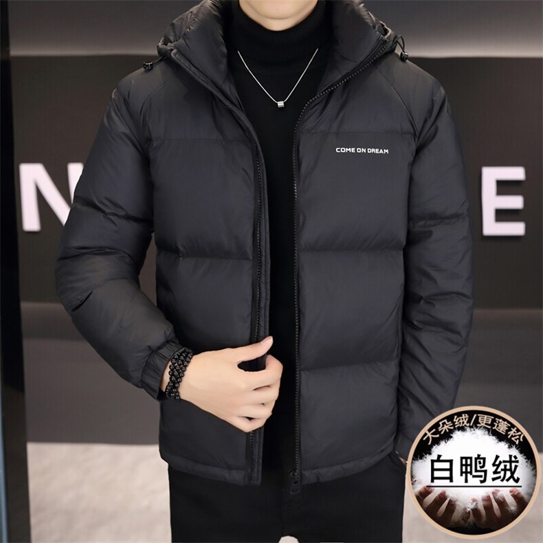 标90绒高品质加厚保暖白鸭绒立领防风羽绒服外套上衣男1866P210图片
