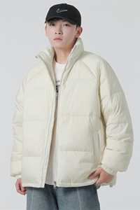 冬季羽绒服无影墙新款标立领羽绒服WT3605-P160图片