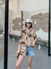 花衬衣，其它，红嘴鸥