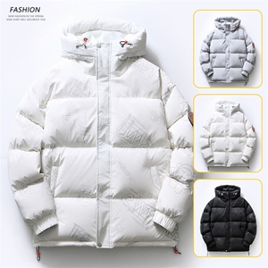 白底平铺 2026冬季新款90%白鸭绒连帽羽绒服男XZ109-Y1266-P218图片