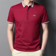 夏季新款男士翻领短袖t恤中年有领男装上衣服休闲POLO衫，男装T恤，电商B212（原钱塘6029）