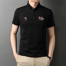 男士短袖polo衫宽松休闲百搭体恤半袖t恤衫夏装翻领上衣,男装T恤,电商B212（原钱塘6029）