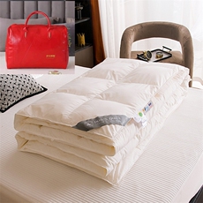 新款羽绒被95白鹅绒安塞丝平格羽绒春秋冬被子礼品被芯白色，被套/被芯，一起卖家纺