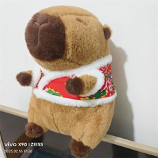 王艳涛毛绒玩具厂 花袄水豚十个起售