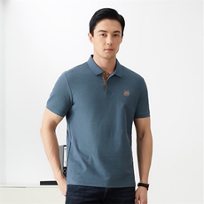 夏季新款中年短袖T恤高档丝光棉男士Polo衫休闲时尚纯色透气上衣，男装T恤，电商B212（原钱塘6029）