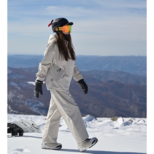 户外俩件套装滑雪服套装男防风防水中性保暖外套TZ033-P220控328图片