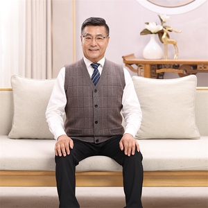 2024年秋季中老年休闲竖格款长袖和马甲男装图片
