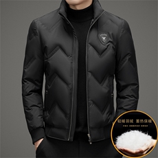 秋冬季立领羽绒服男士白鸭绒短款商务休闲户外保暖高级感外套男，男装羽绒服，钱塘6003（原4033）