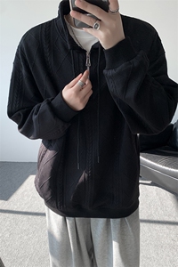 卫衣男春季新款港风宽松提花大码长袖T套头上衣WY9975-特P42图片
