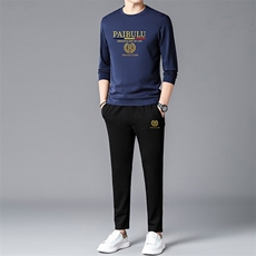 时尚运动服套装男士春秋季新款潮牌宽松休闲圆领卫衣长裤子两件套，男装休闲套装，电商B212（原钱塘6029）