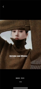 休闲/淑女2024年秋季通勤花妙女士高领山羊绒针织衫图片