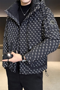 2025冬季新款冲锋衣羽绒服男士连帽加厚羽绒服B240-YR98010-P245图片