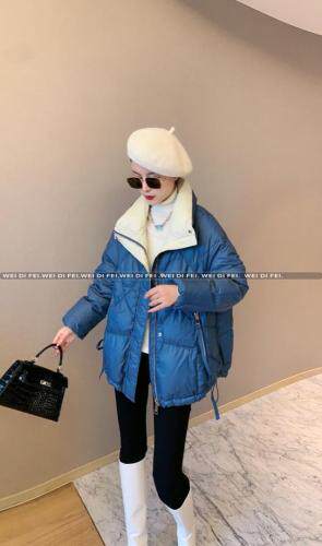 冬款发布，女装，微迪菲