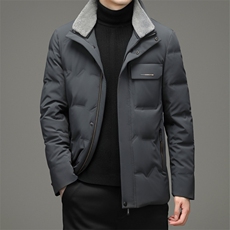 BZ2269钱塘2020-2秋冬新款中年男士立领羽绒服时尚休闲外套P215，男装羽绒服，钱塘207-2