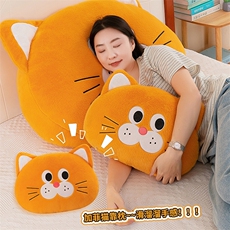 亿家乐毛绒玩具 加菲猫抱枕
