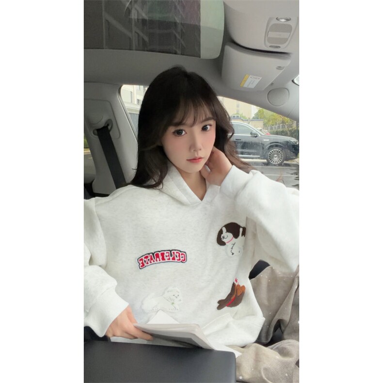WY10191-特P55加绒特P60美式重磅刺绣连帽帽卫衣大码套头上衣,男装卫衣,电商A059