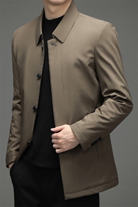秋冬棉衣男中年翻领棉服中老年冬季夹克外套爸爸装ZL39985-P150图片