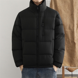极简风立领休闲羽绒服男士高端90白鸭绒保暖上衣冬季御寒外套图片