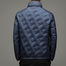 2023冬季新款90%白鸭绒青年休闲保暖羽绒服立领外套ZL99666-P175，男装羽绒服，星座1105-3