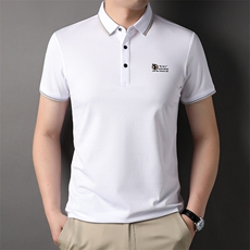 男士短袖t恤翻领夏装上衣服男装商务休闲中年半袖polo衫2023新款，男装T恤，电商B212（原钱塘6029）