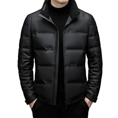 2023新款中年男士立领御寒羽绒服冬季厚款保暖休闲爸爸装外套，男装羽绒服，电商B212（原钱塘6029）