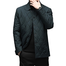 冬季中老年男棉衣棉袄老人休闲棉服中年爸爸冬装外套MY2187-P205，男装棉衣，电商B212（原钱塘6029）