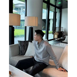 网图慎用  B216 MY5162 P65  2025秋冬海鸥领男装毛衣针织衫图片