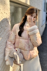 2026冬季·新中式短款羽绒服50白鸭绒RF2C290-7802#-P325-K428，女装羽绒服，2C290