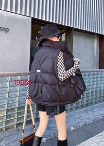 羽绒马甲图片