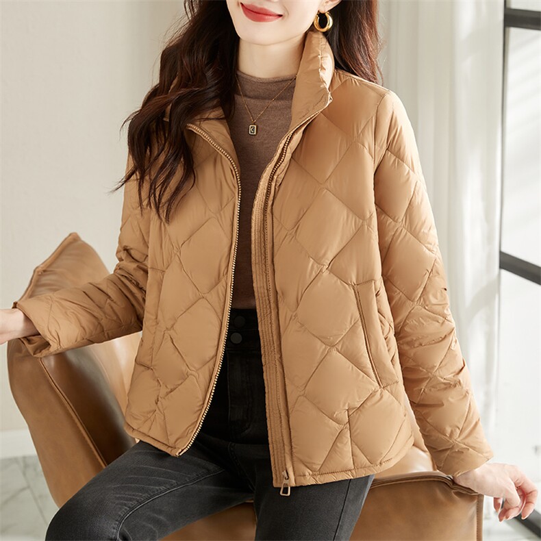 2022年冬季新款短款羽绒服立领拉链休闲90%白鸭绒加厚款,女装羽绒服,蝶眷