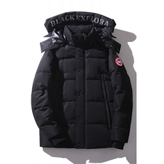 跑量大货中连帽鹅绒宽松休闲羽绒服保暖纯色加厚百搭上衣802p280，男装羽绒服，星座1602B（原101B-1）
