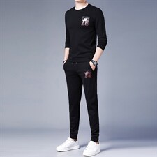 2023春秋季套装中年人爸爸装休闲两件套商务长袖圆领卫衣男上衣服，男装休闲套装，电商B212（原钱塘6029）