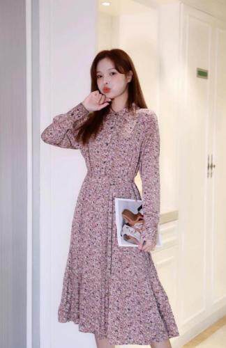 秋款上新，其它，阿爆