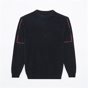 BSS6118限价228元男士新款长袖半高领纯羊毛针织衫休闲青年P156，男装针织衫/毛衣，电商B360