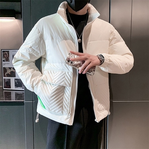 立领款白鸭绒新标50绒保暖休闲大口袋款 B226-9009-P195图片