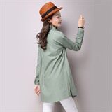 印花排扣2021年秋季简约时尚潮流文艺青春，女装衬衫，独衣靓