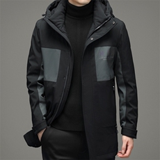 冬季新款灰鸭绒中青年男连帽商务休闲羽绒服保暖男ZSab21002-P310，男装羽绒服，电商B212（原钱塘6029）