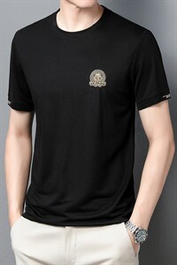 男士短袖T恤2023新款圆领纯色薄款潮牌欧版装半袖上衣 ZL1281-P45图片