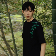 竹叶立体凹凸拉板印花T恤短袖五分半袖打底衫XT11-P40控58，男装T恤，星座216(原A116)