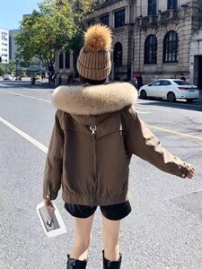 派克系列款图片