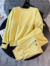高级感时尚休闲运动套装女秋季新款宽松显瘦圆领卫衣阔腿裤两件套，女装套装/套裙，江南
