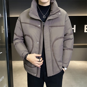 标90白鸭绒 店主风轻奢无帽立领宽松休闲羽绒服外套M639-P320图片