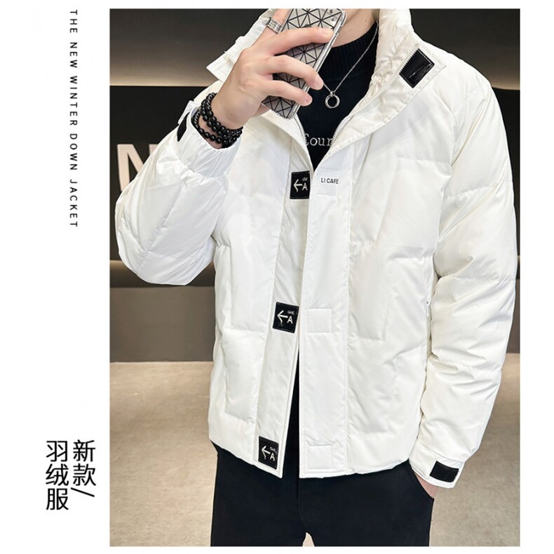 冬立领潮牌白鸭绒御寒加厚保暖韩版青年防寒短款外套派客服男装,男装羽绒服,钱塘6003（原4033）