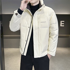 店主风2025年新款时尚立领潮流保暖羽绒服男A236-G93-P185，男装羽绒服，电商A236